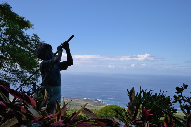 ハワイ島の人気ビーチ徹底解説　ハワイ島の海を満喫できるアクティビティ・ツアーもご紹介