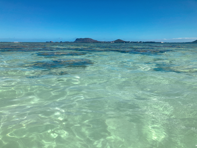 天国の海と呼ばれるサンドバーってどんなところ？オアフ島の超人気スポットを徹底解説