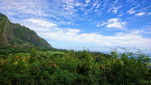 ハワイ島 キラウエア火山ってどんなところ？絶対に訪れるべき火山の見どころや観光する際の注意点を徹底解説