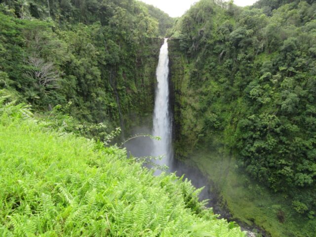 ハワイ島で人気の3つの滝　それぞれの滝の見どころやおすすめのツアーをご紹介