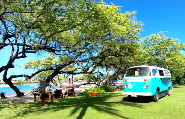 新婚旅行はハワイ島で決まり！大自然に囲まれたリゾート地ハワイ島でハネムーンを満喫しよう