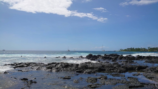 ハワイ島の人気ビーチ徹底解説　ハワイ島の海を満喫できるアクティビティ・ツアーもご紹介