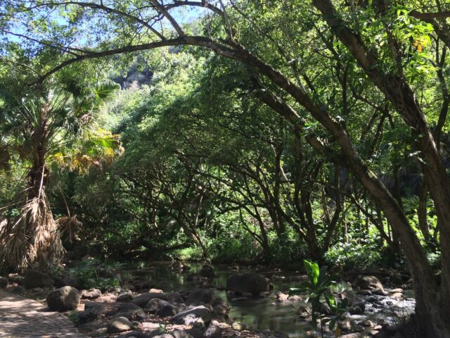 ハワイ オアフ島 ワイメアバレー