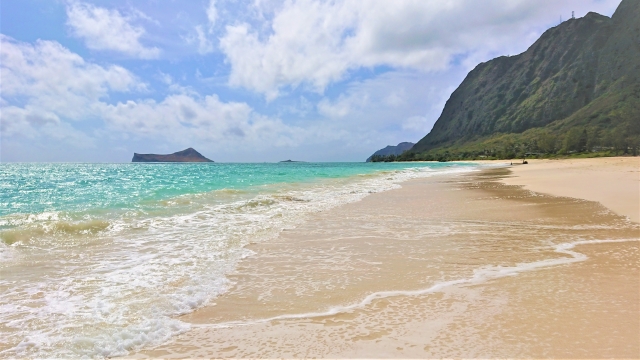 オアフ島の人気ビーチ徹底解説　オアフ島の海を満喫できるアクティビティ・ツアーもご紹介