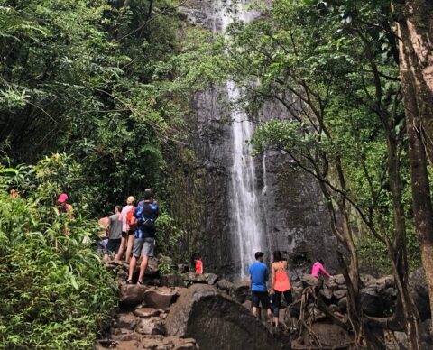 マノア渓谷ってどんなところ？オアフ島で人気のマノアの滝を見に行けるツアーもご紹介