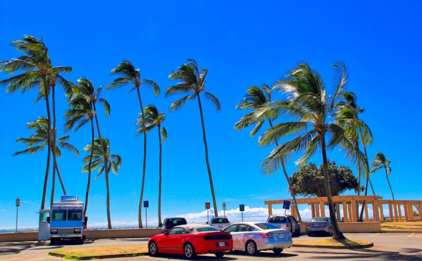 ハワイ　ドライブ