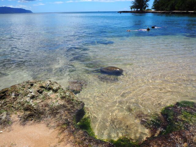 ハワイ　オアフ島　穴場ビーチ
