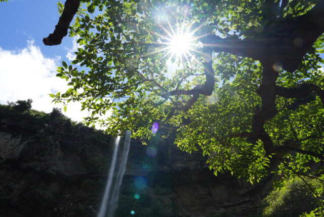 ハワイ オアフ島 滝