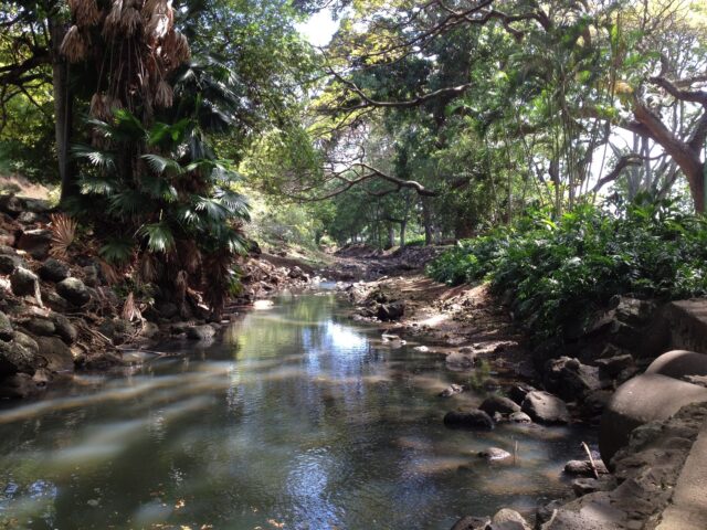 ハワイ オアフ島 ワイメア・バレー