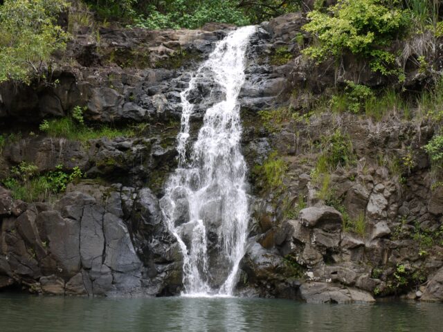 ハワイ オアフ島 ワイメア・バレー