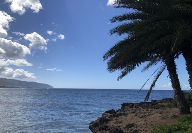 オアフ島の人気ビーチ徹底解説　オアフ島の海を満喫できるアクティビティ・ツアーもご紹介