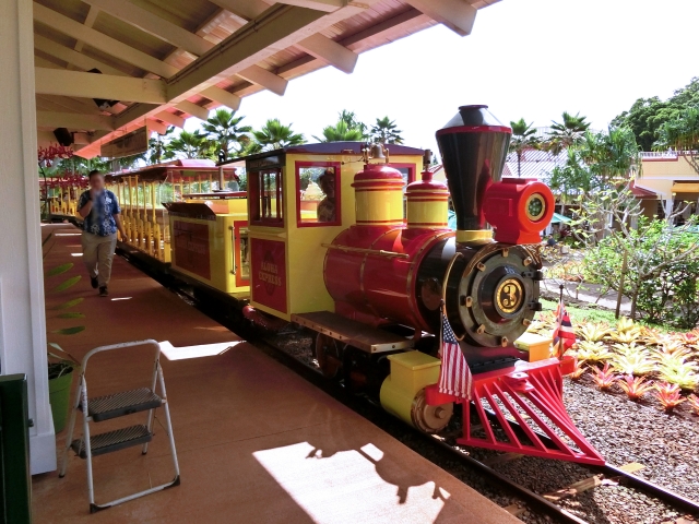 【オアフ島/ノースショア】ドール・プランテーション