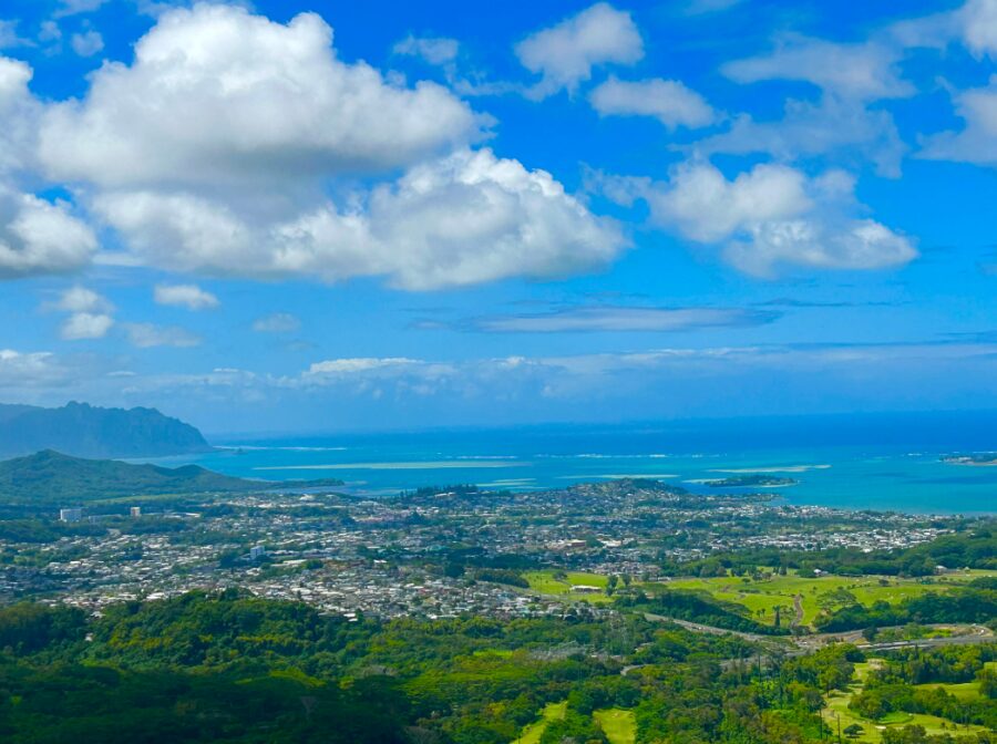 【オアフ島/日本人ガイド/午前】ワイキキ沖クルーズ＆ホノルル市内観光☆海の世界を覗く！グラスボート感動体験＜送迎付き＞（No.24）