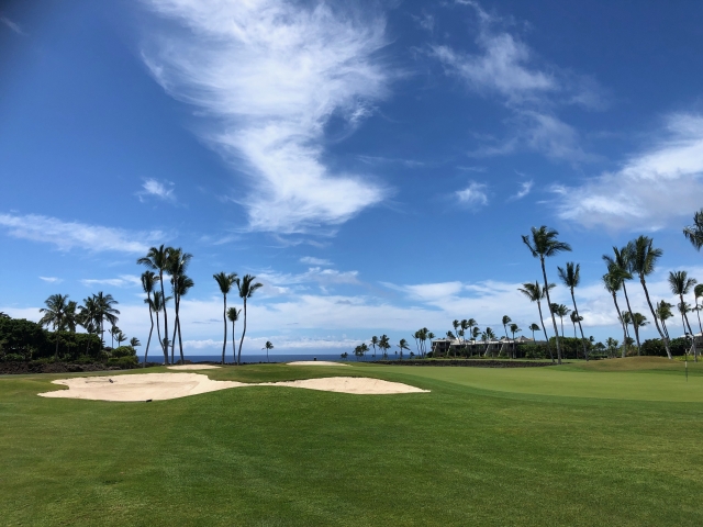 ゴルづ、プリンス、オワフ