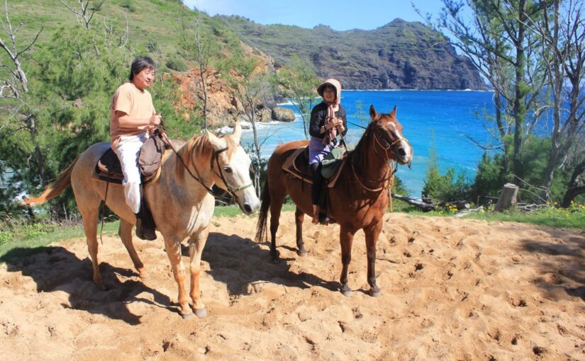 乗馬 ノースショア
