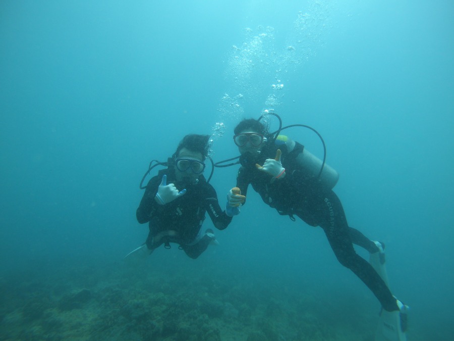 【オアフ島/日本人ガイド/5時間】ワイキキで感動の体験ダイビング！〈送迎付き・ライセンス不要〉初心者＆お子さまにもおすすめ（No.36）