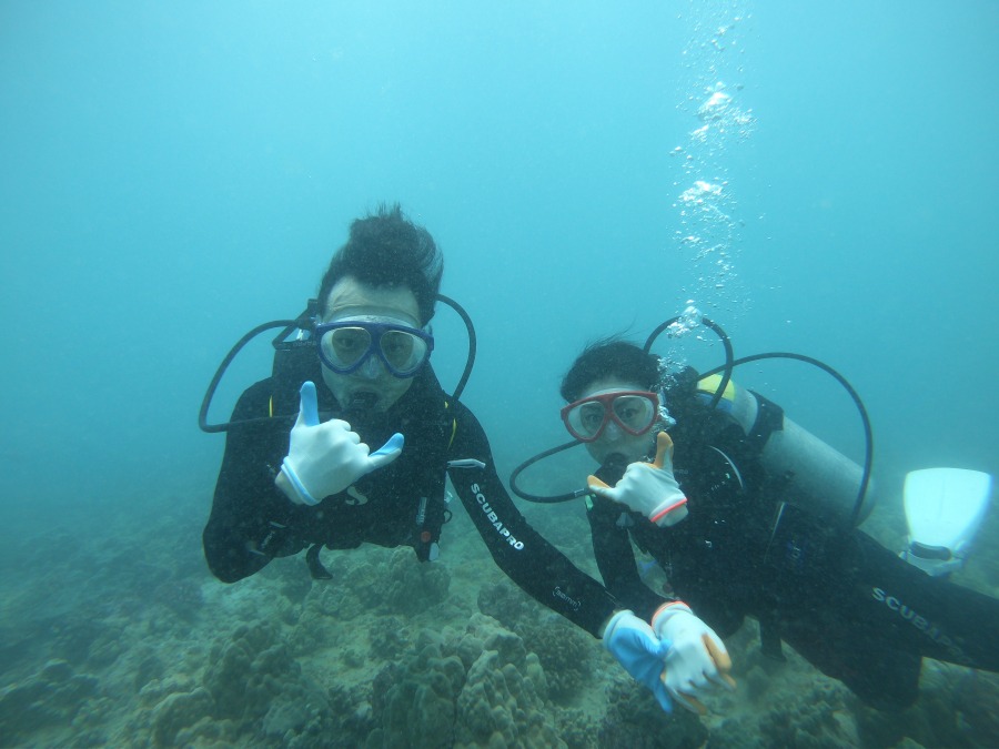 【オアフ島/日本人ガイド/5時間】ワイキキで感動の体験ダイビング！〈送迎付き・ライセンス不要〉初心者＆お子さまにもおすすめ（No.36）