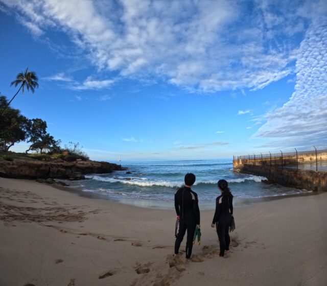 シュノーケリング