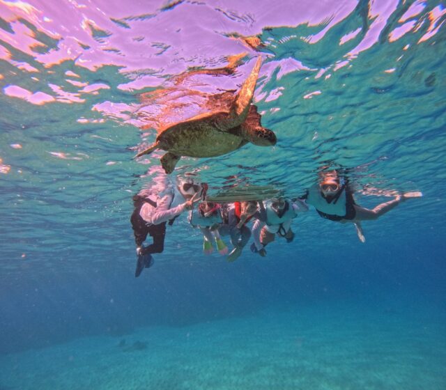 シュノーケリング