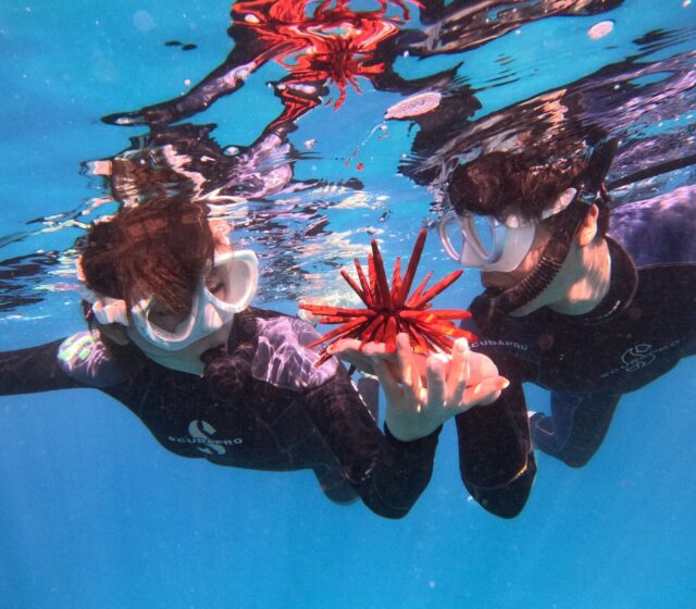 シュノーケリング