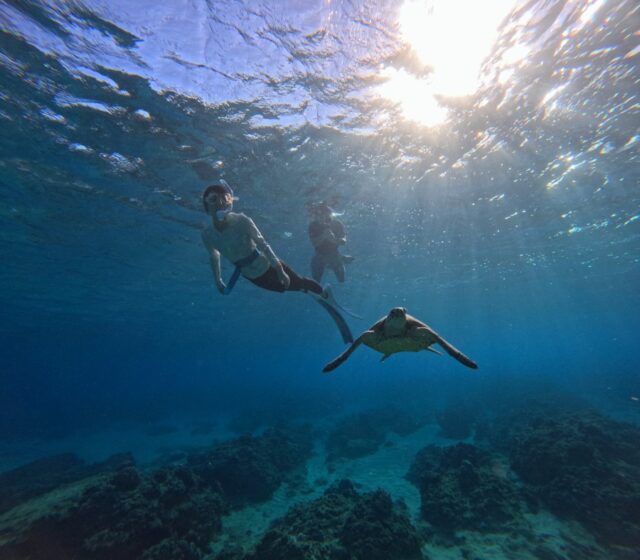 スキンダイビング