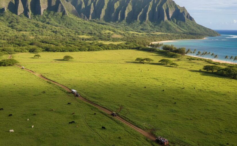 クアロアランチ