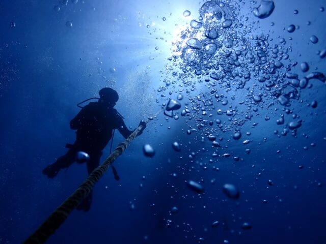 ハワイ　オアフ島　ダイビング