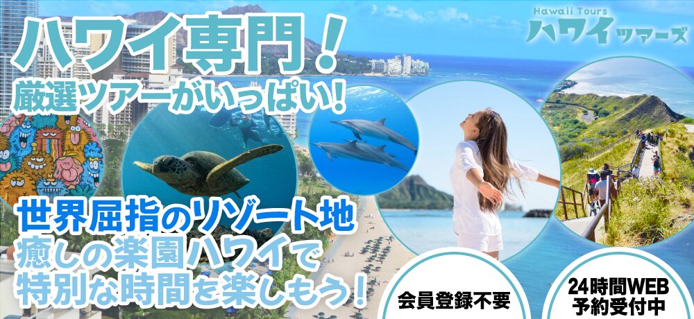 新TOPハワイKV_pc