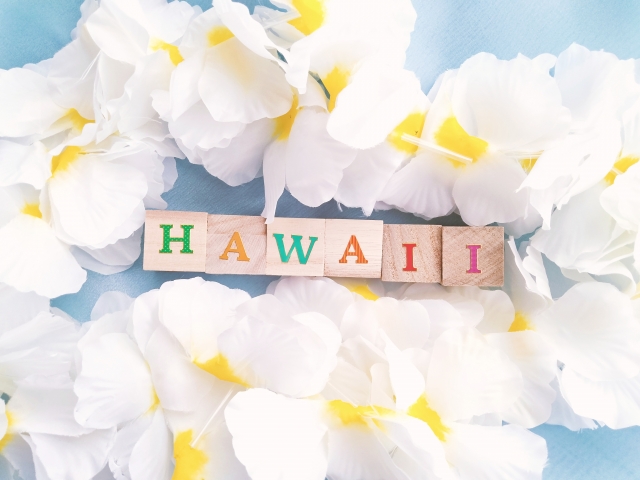 ハワイの風景を感じる木製の「Hawaii」ブロック