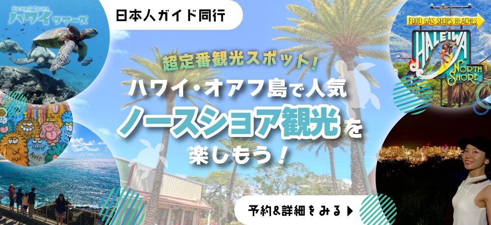 ノースショアKV_pc