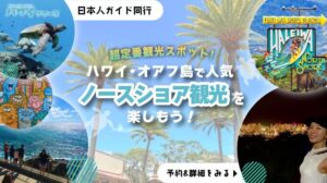 ノースショアKV_sp