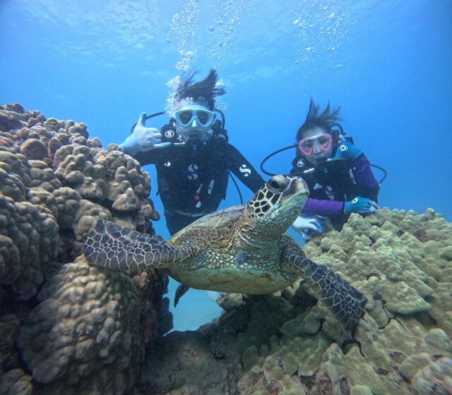 ハワイ　オアフ島　ハナウマ湾　ダイビング