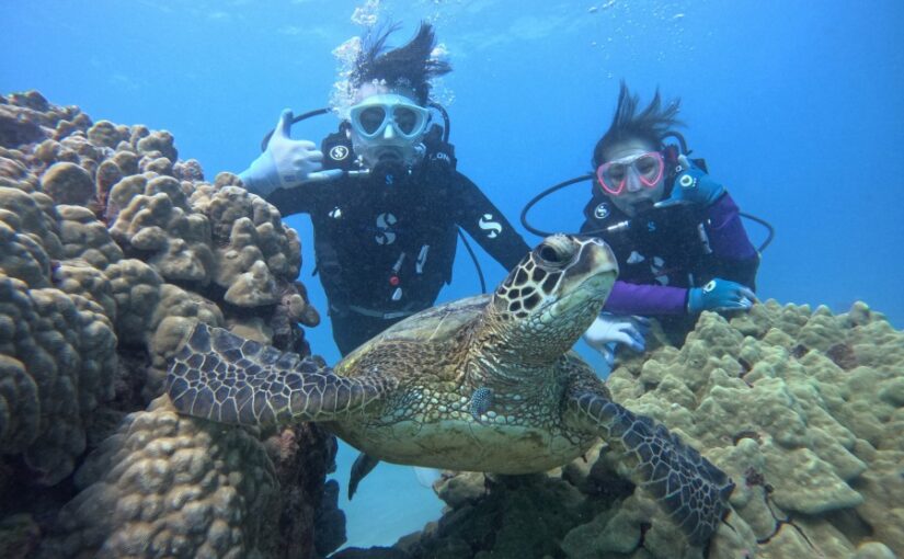 ハワイ　オアフ島　ハナウマ湾　ダイビング