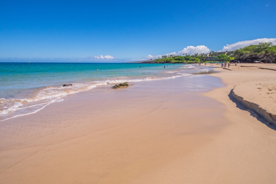 ハワイ島　ハプナビーチ
