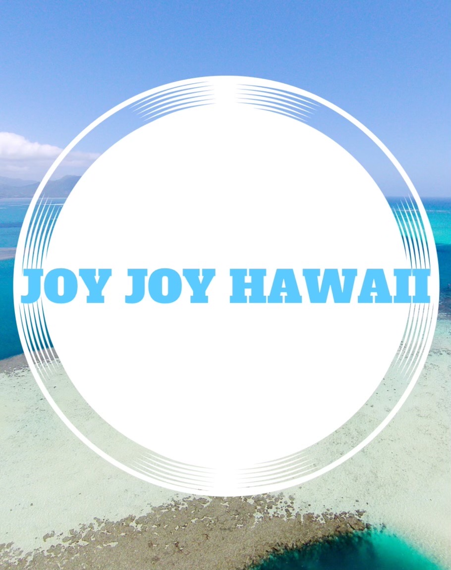 JOY JOY HAWAII