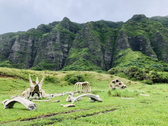クアロアランチ　映画ロケ地