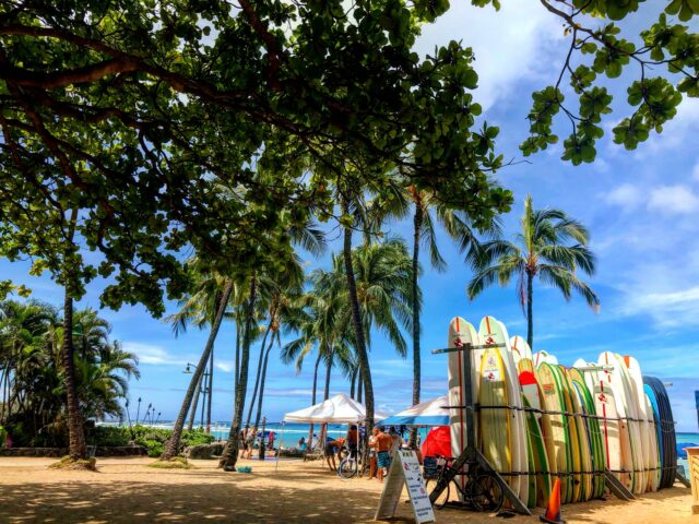 オアフ島　ワイキキビート