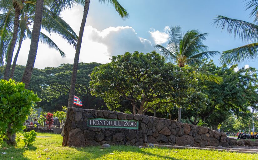 ハワイ　動物園　ホノルル動物園