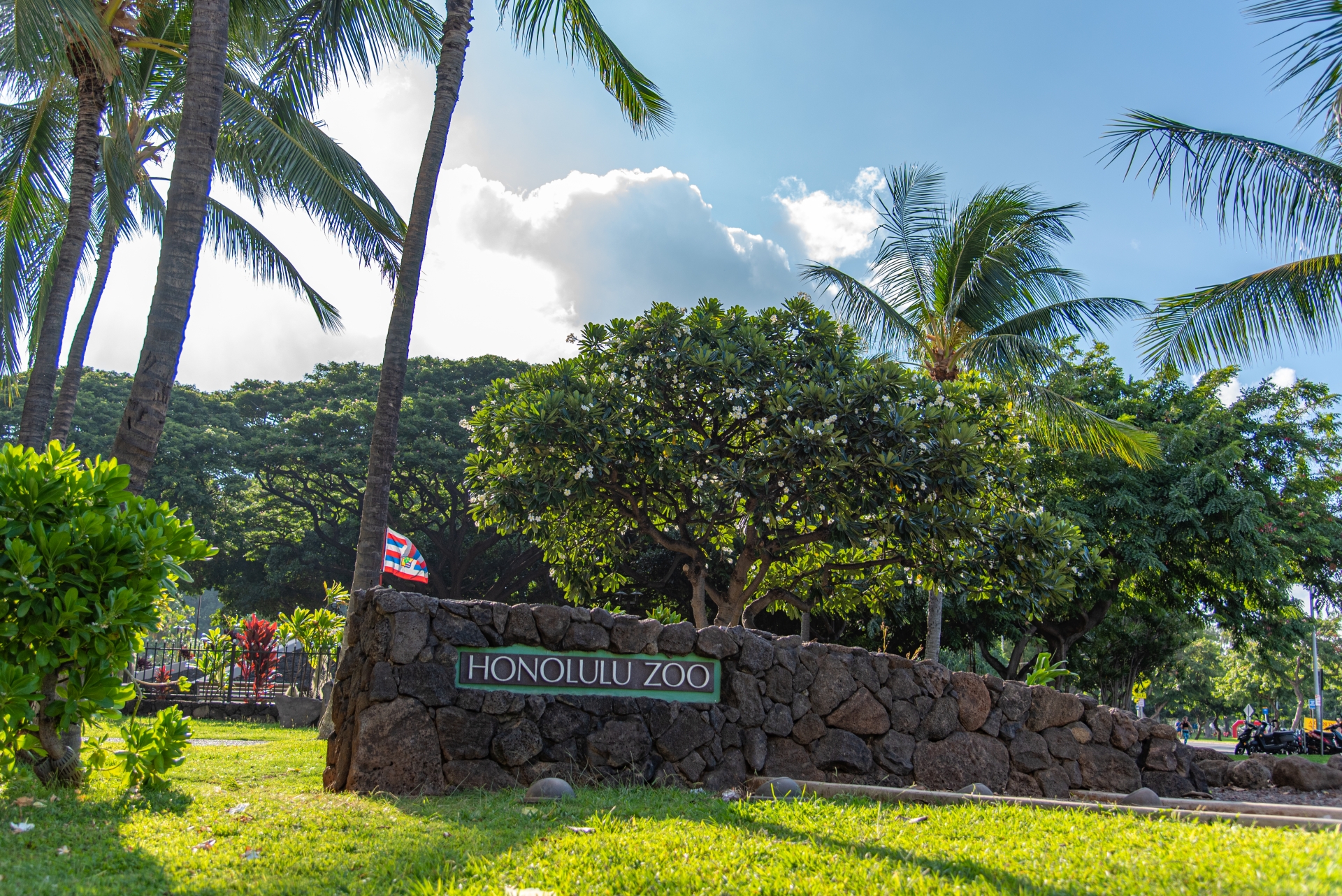 ハワイ　動物園　ホノルル動物園