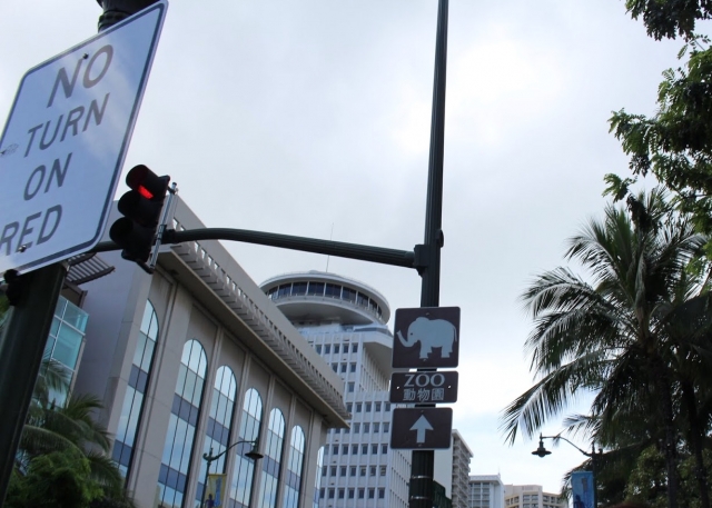 ハワイ　動物園へと続く道
