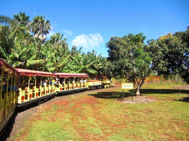 ドールプランテーション トレイン