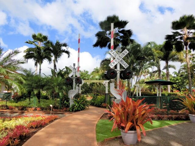 ドールプランテーション