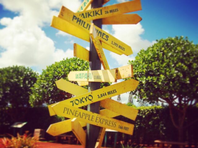 ドールプランテーション