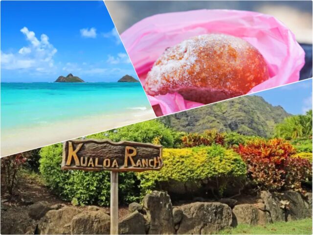 【オアフ島/日本人ガイド/1日】ノースショアから映画ロケ地まで！絶景海岸ドライブツアー＆本場ガーリックシュリンプ絶品ランチ＜送迎付き・0歳～＞（No.47）