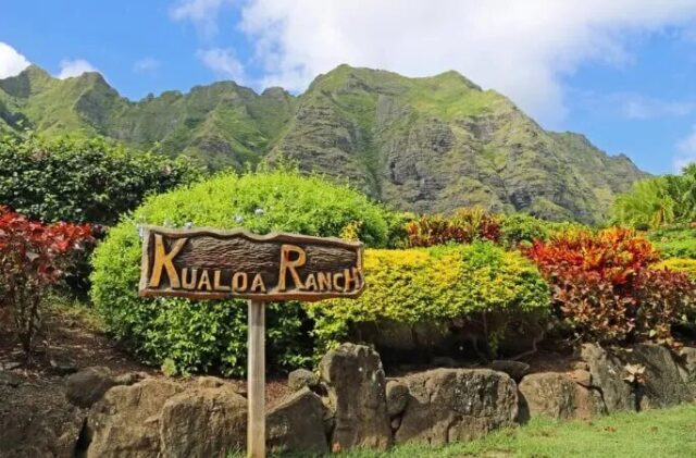 オアフ島 クアロア牧場