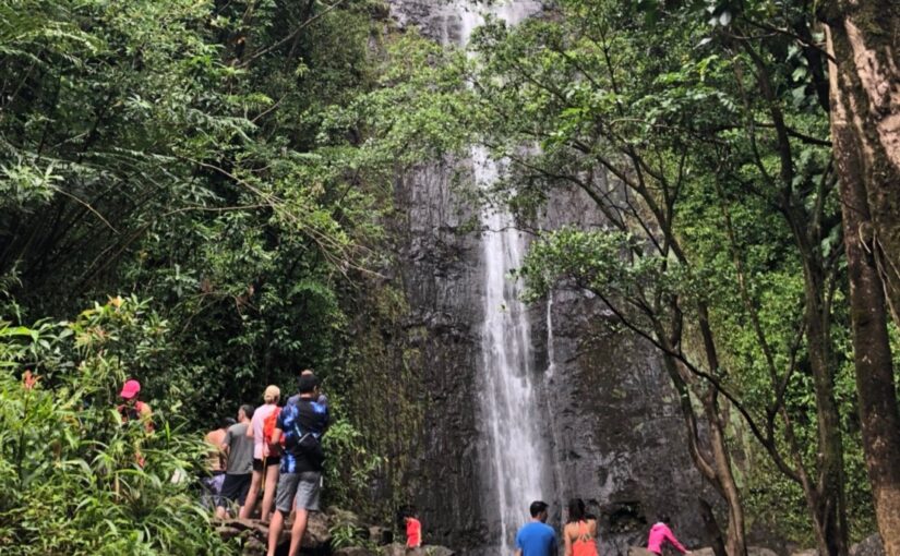 Manoa Falls.