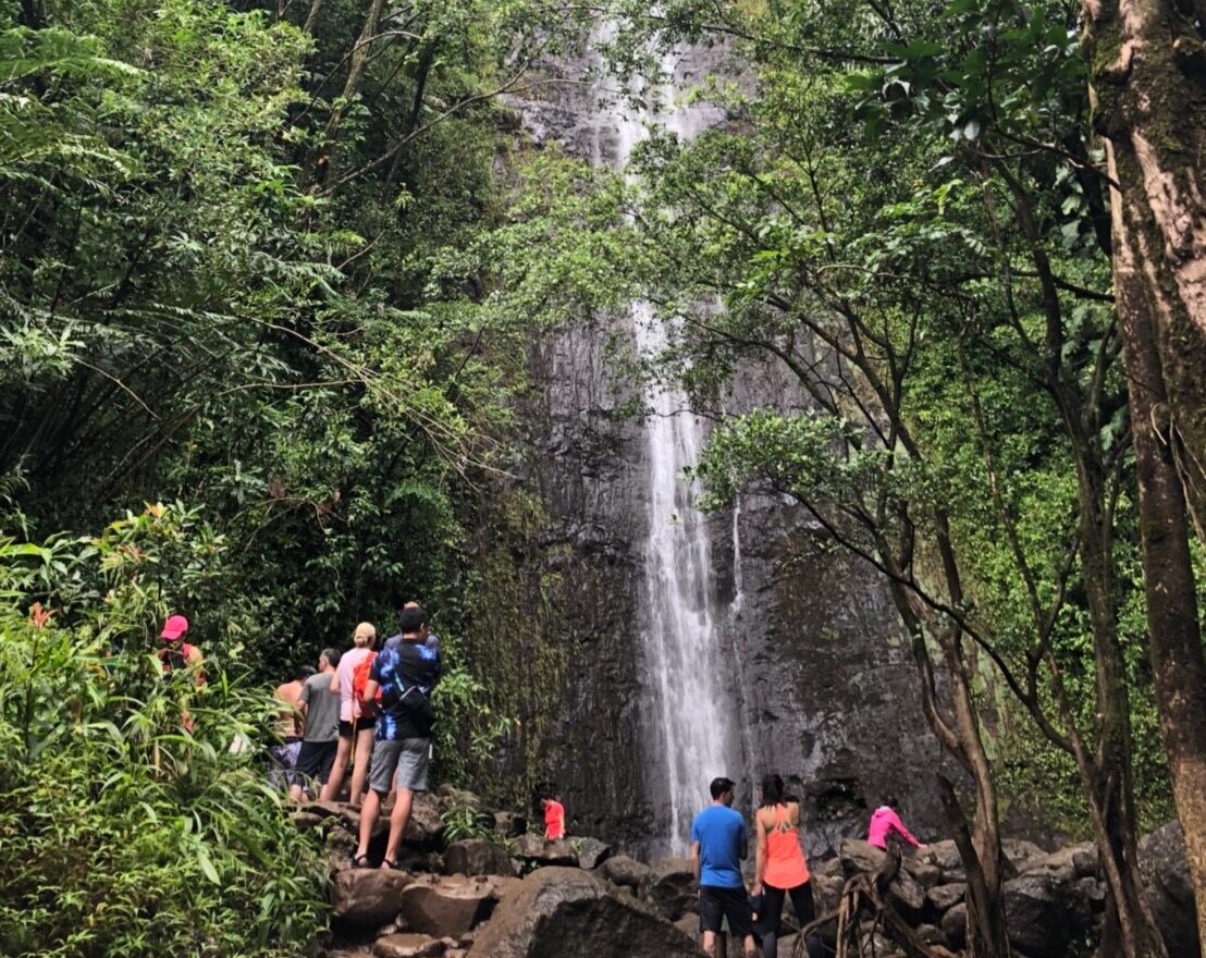 Manoa Falls