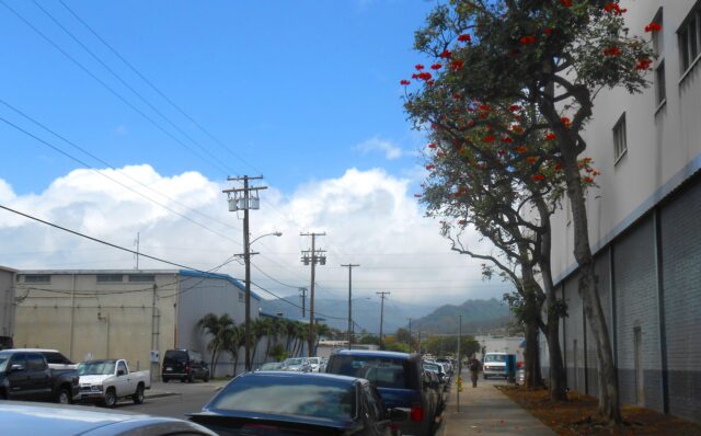 カリヒ地区